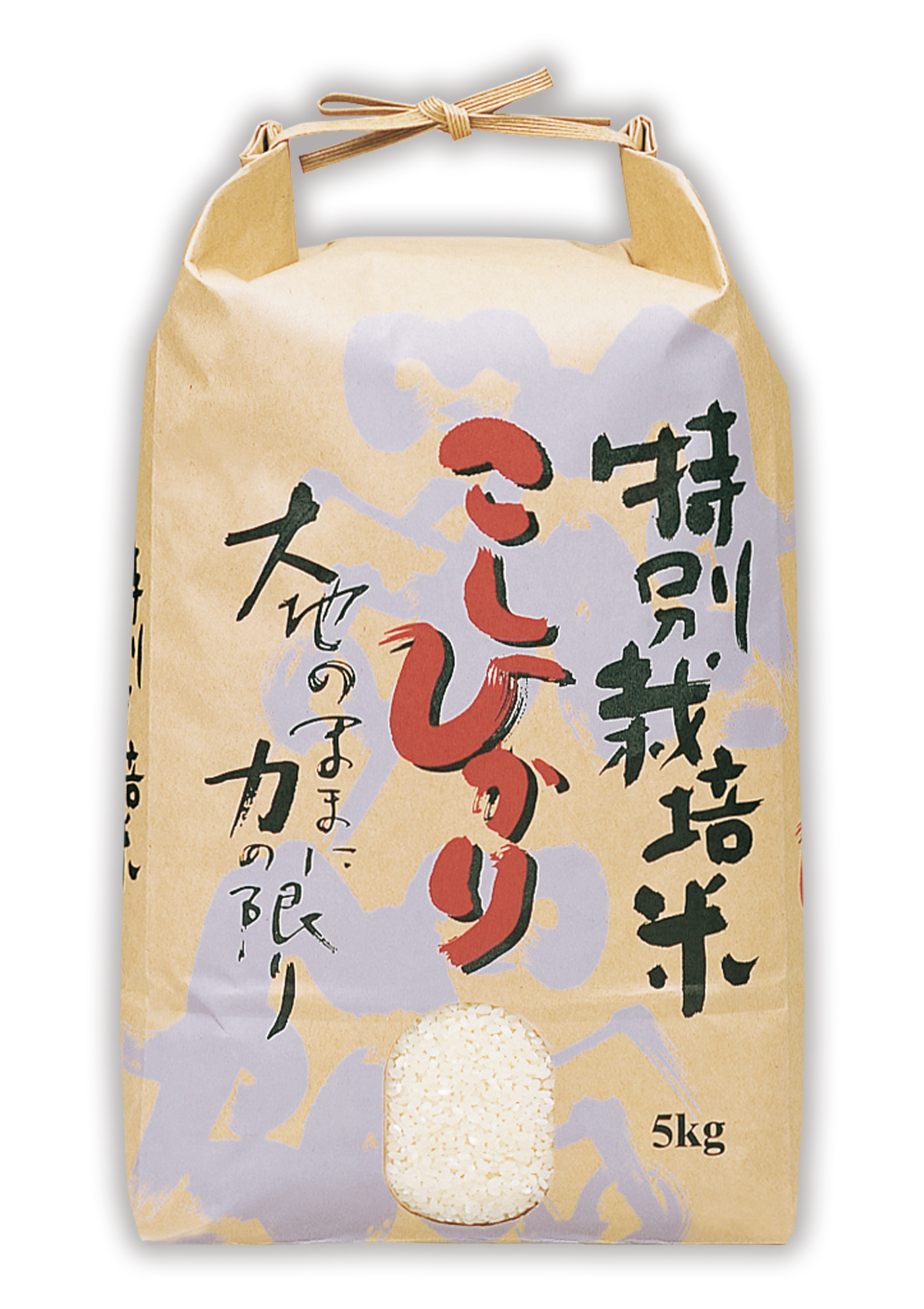 特別栽培米 こしひかり 百山