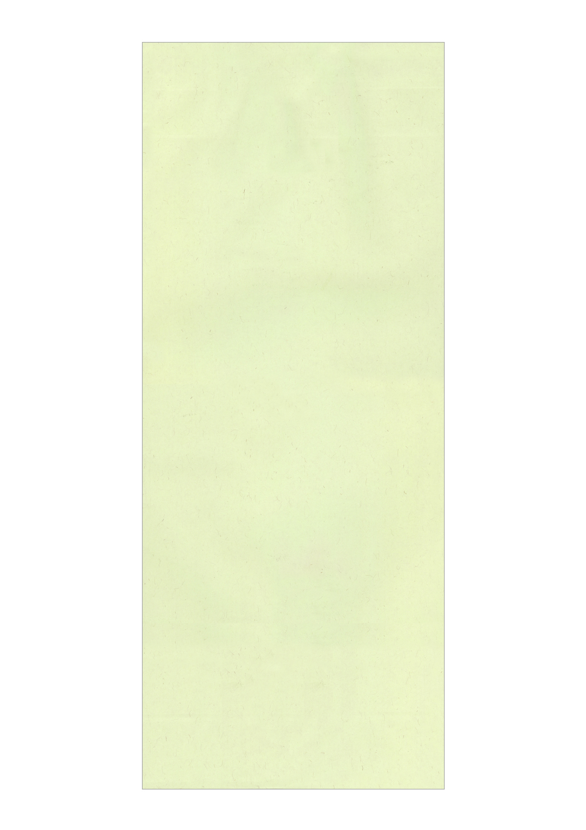 カラークラフト 無地 わかば