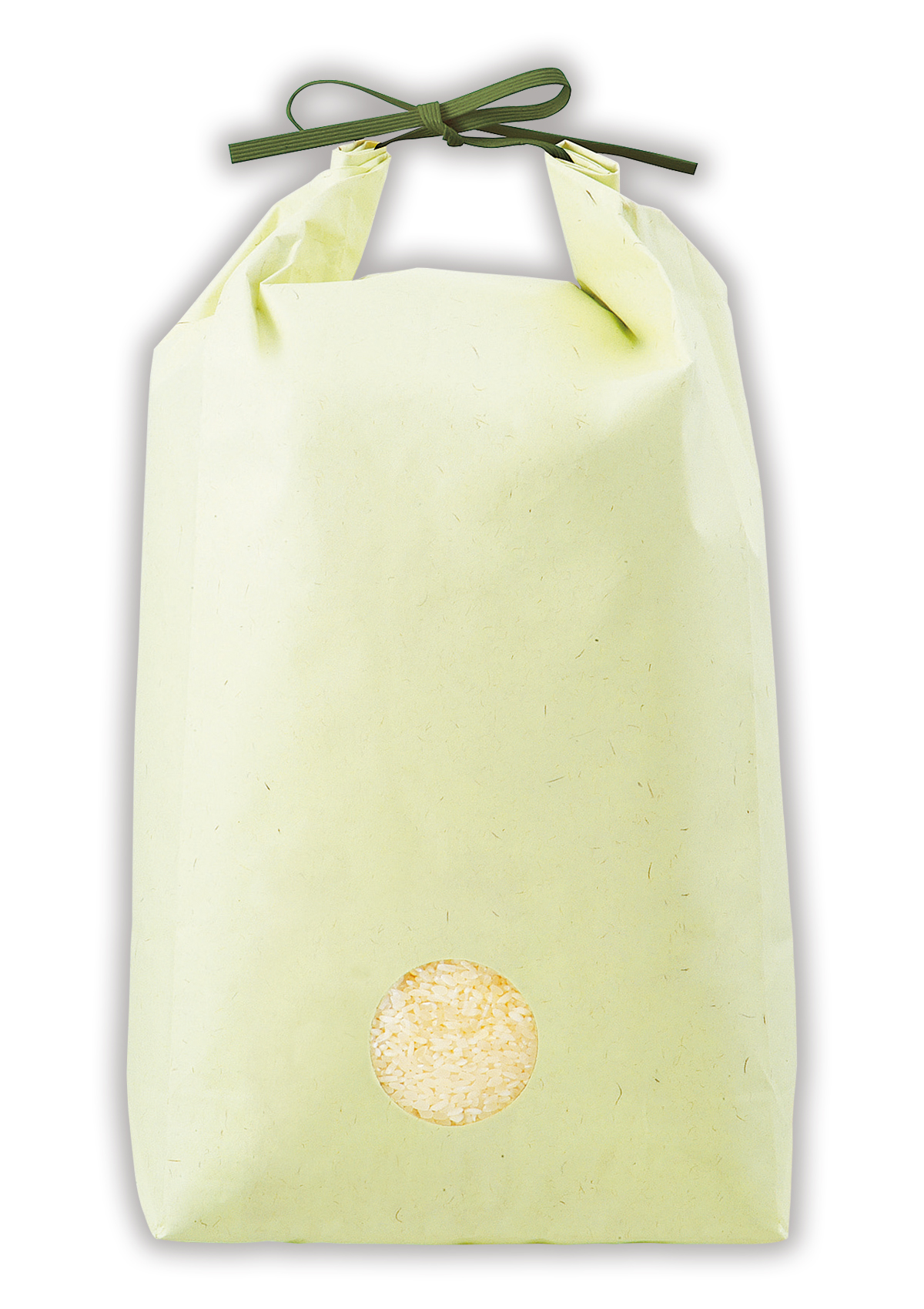 カラークラフト 無地 わかば