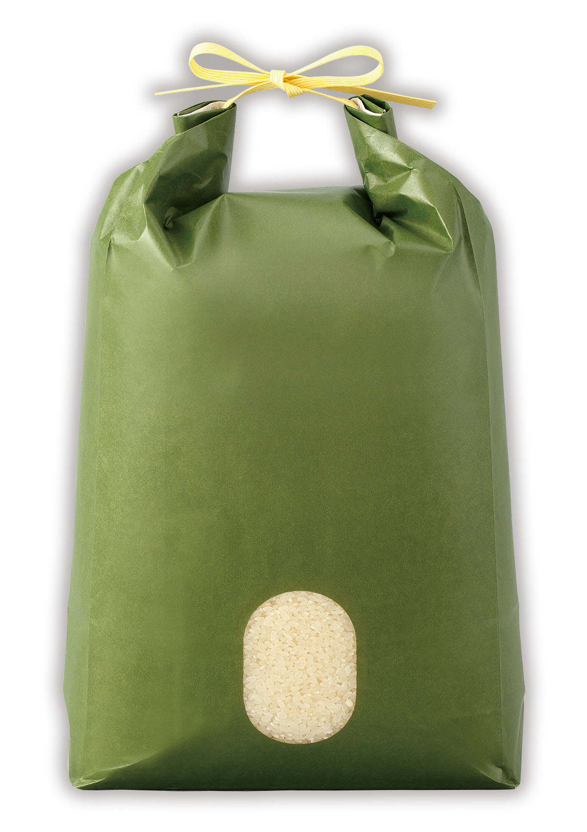 カラークラフト 無地 深緑