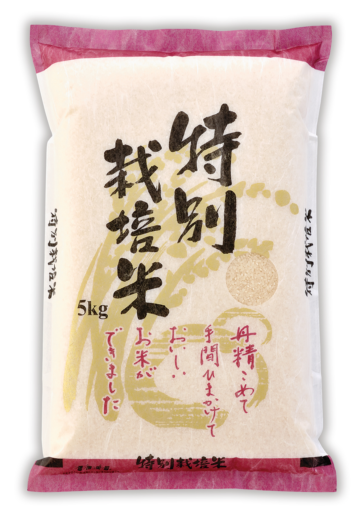 特別栽培米 豊かな大地