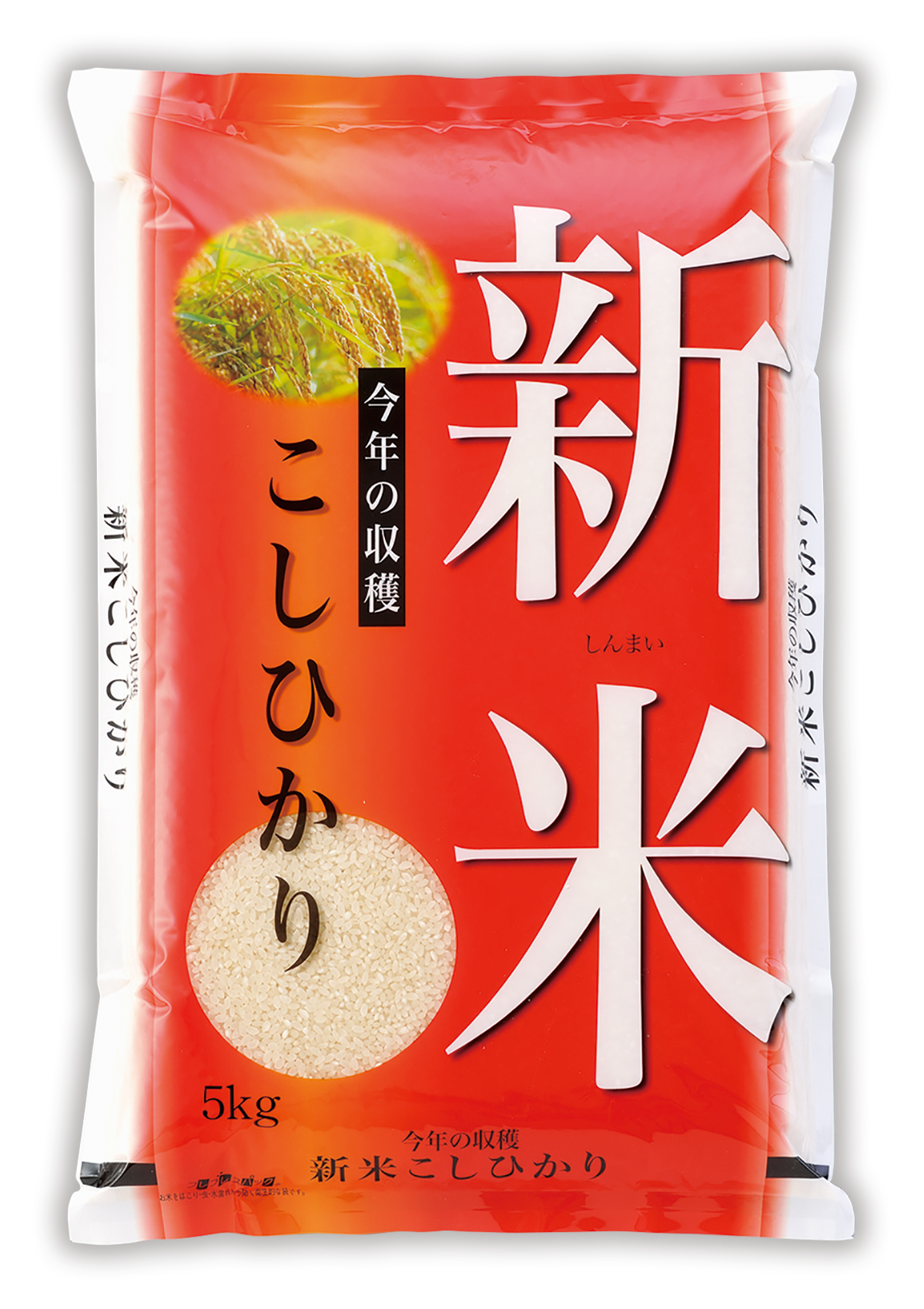 新米 こしひかり 今年の収穫