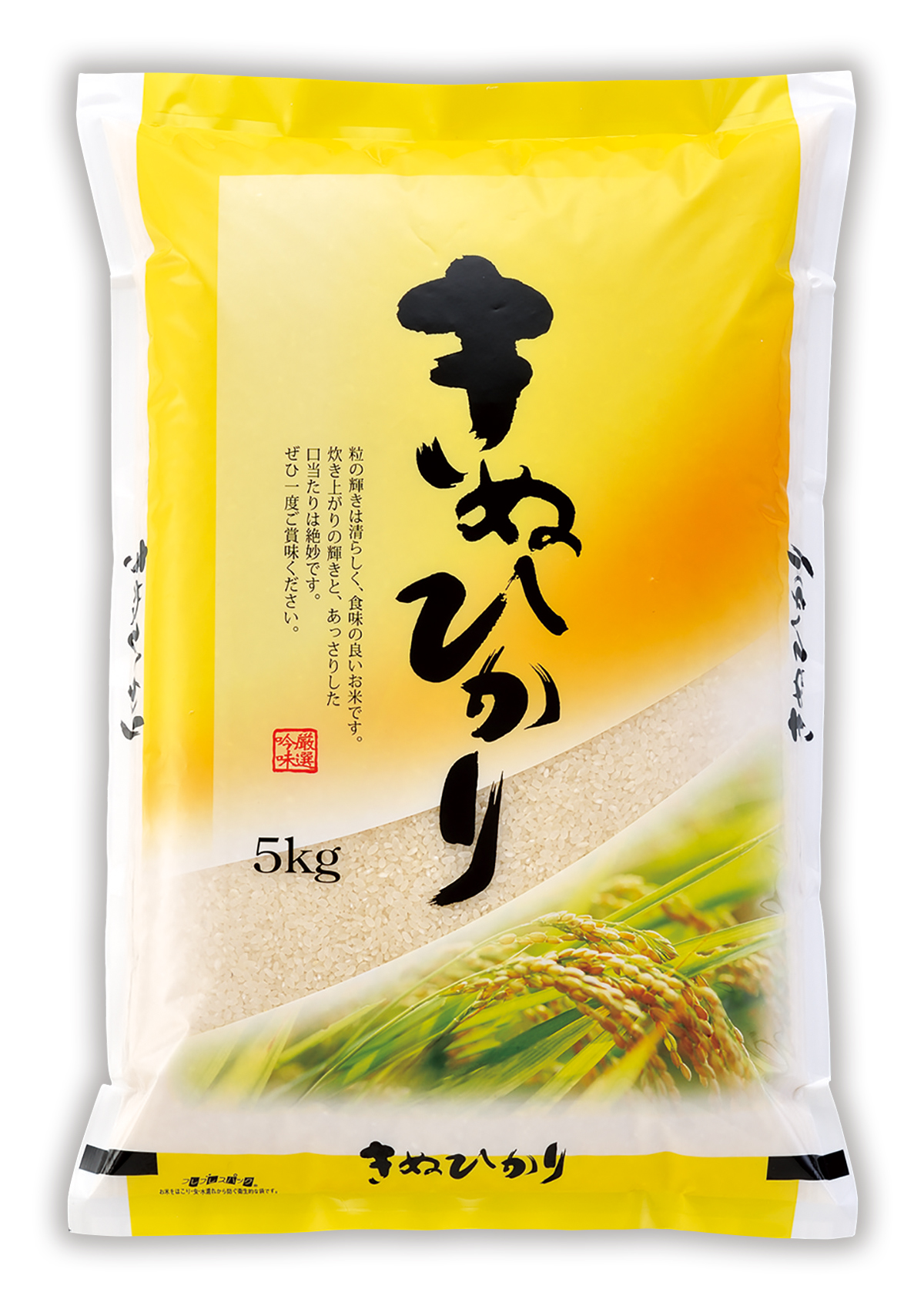 きぬひかり きぬづれ