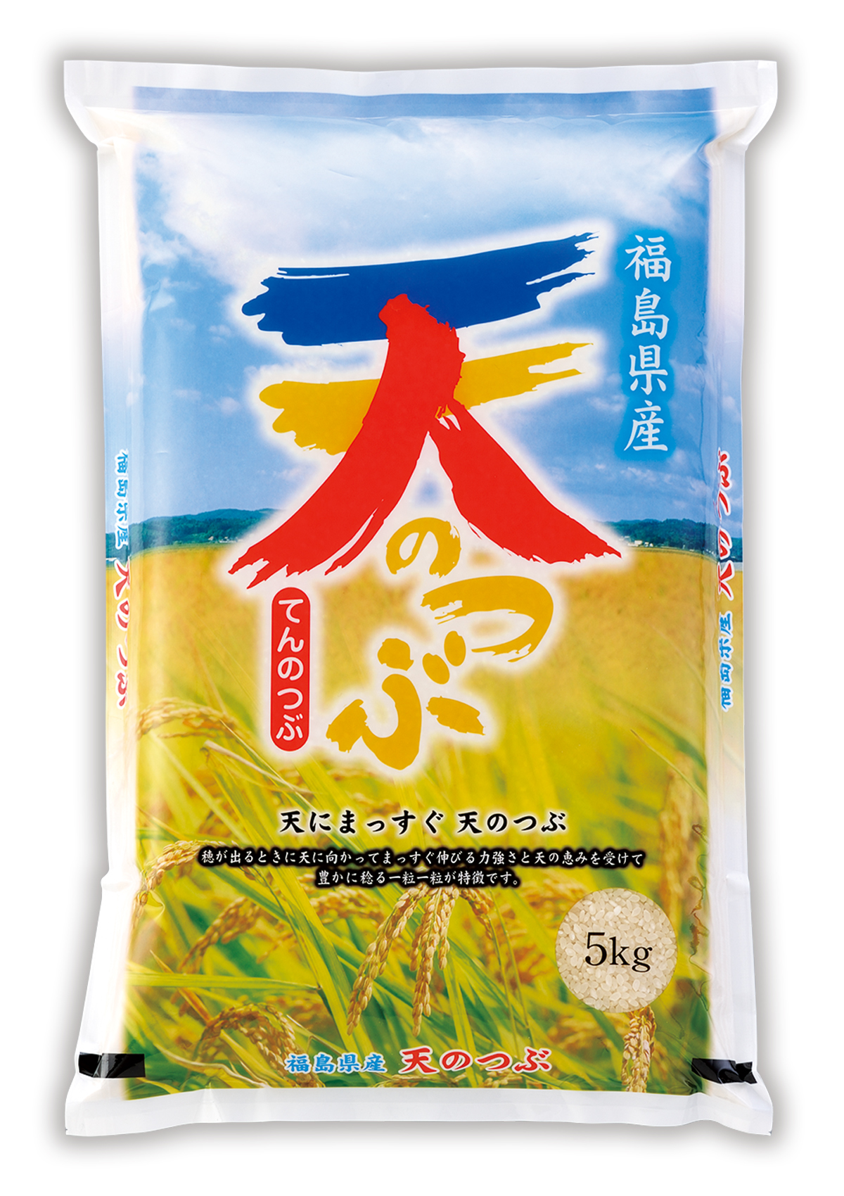 福島産 天のつぶ 一粒の輝き