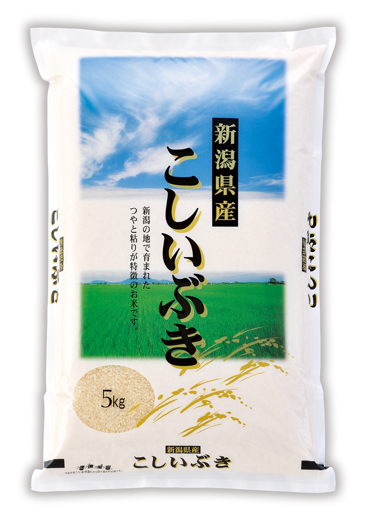 新潟産 こしいぶき 大空