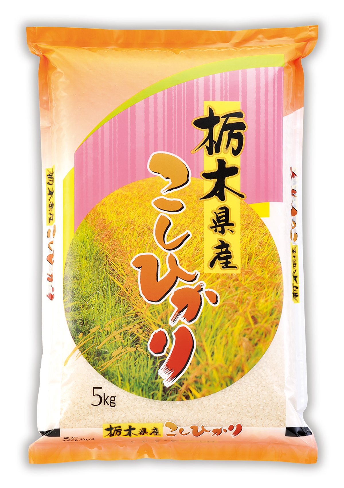 栃木産 こしひかり 彩光