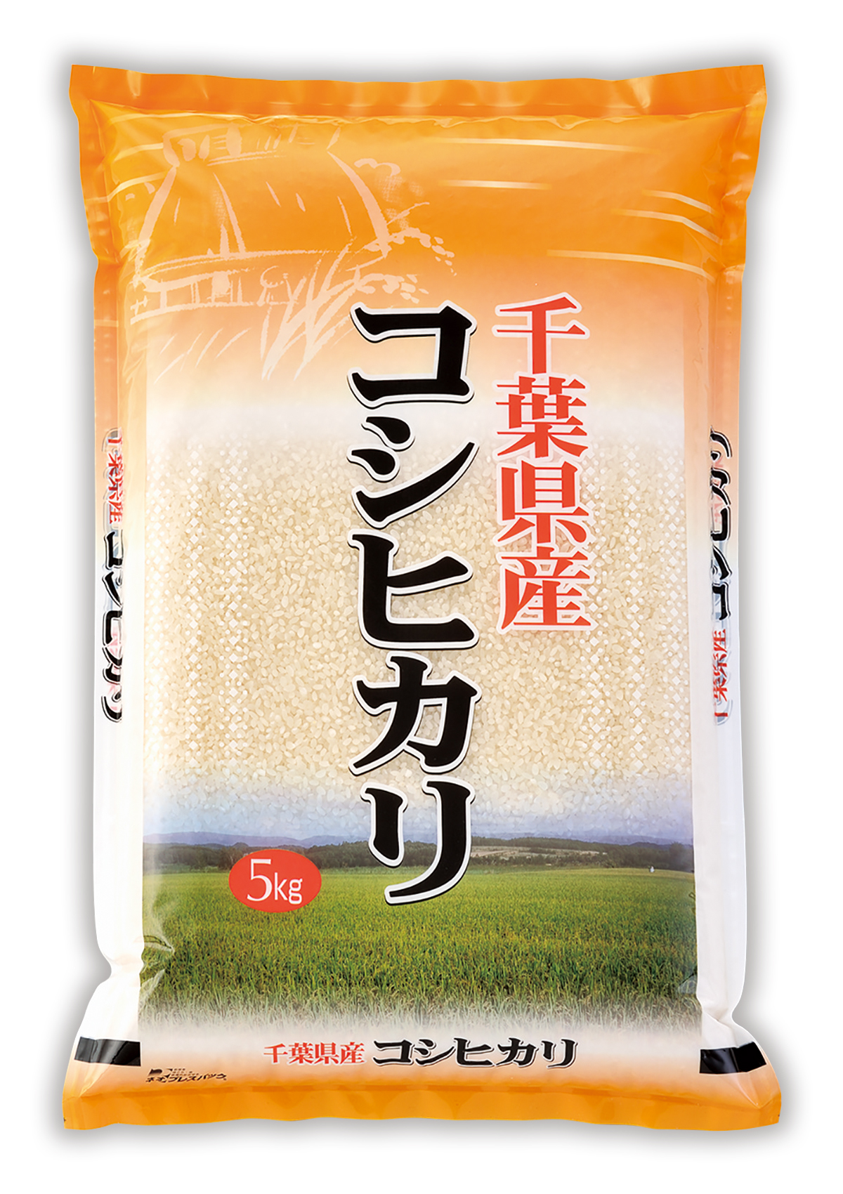 千葉産 コシヒカリ 房総