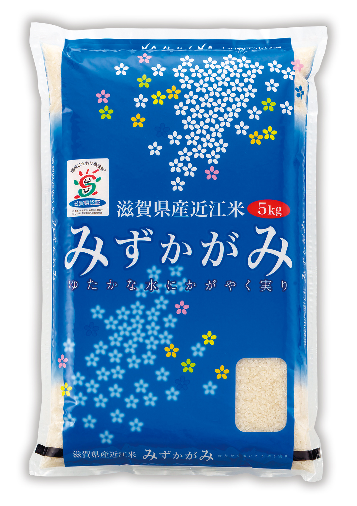 滋賀産 みずかがみ