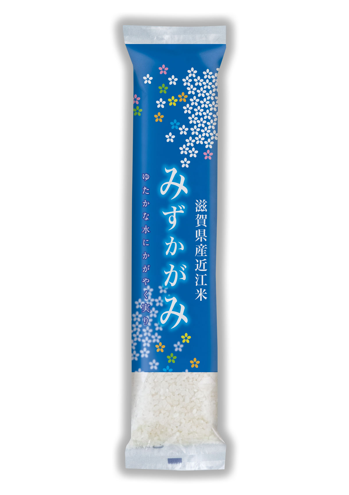 滋賀産　みずかがみ