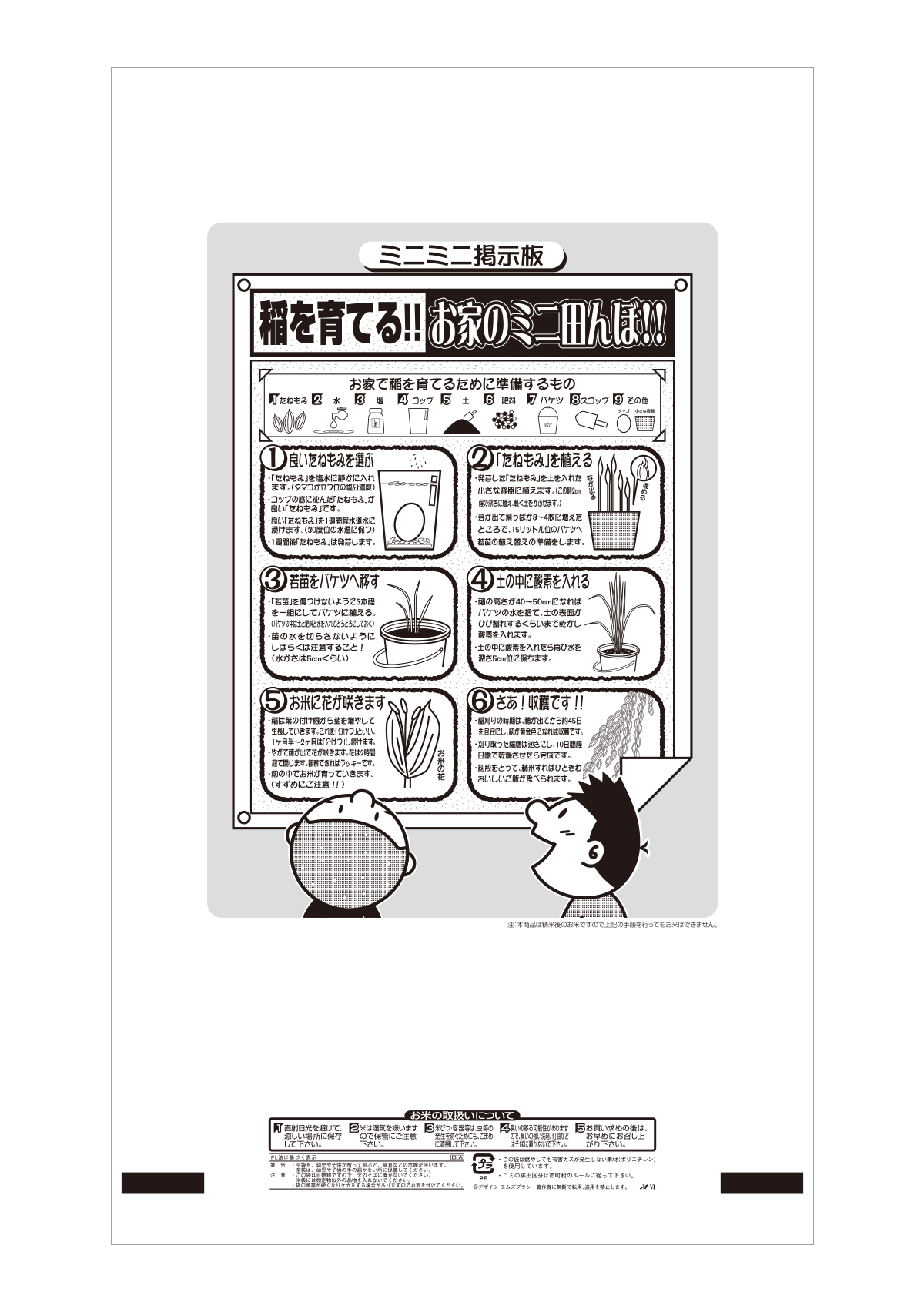 コシヒカリ 風光る