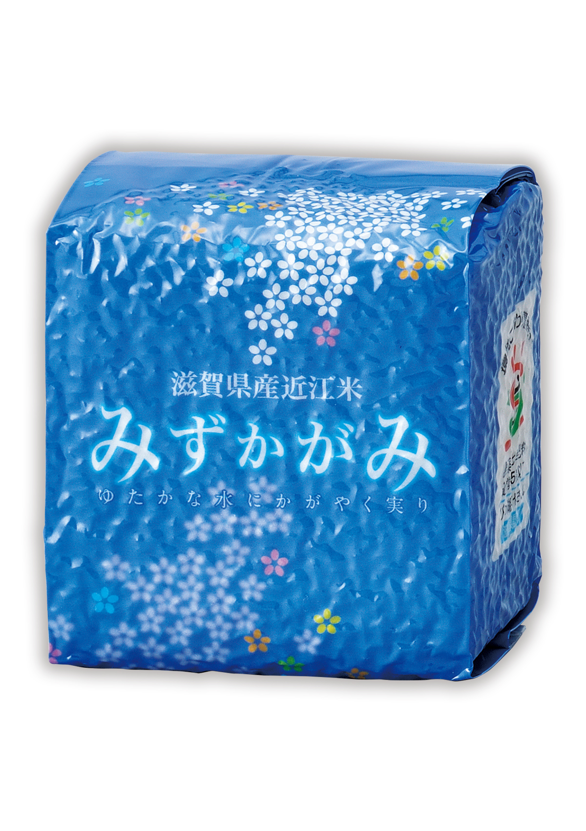 滋賀産 みずかがみ-2