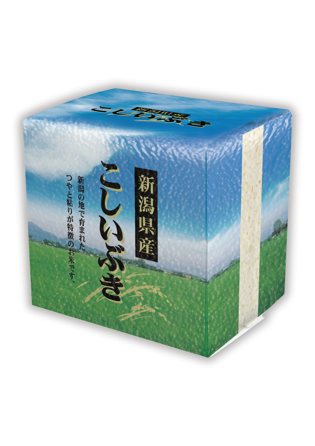 新潟産 こしいぶき 大空