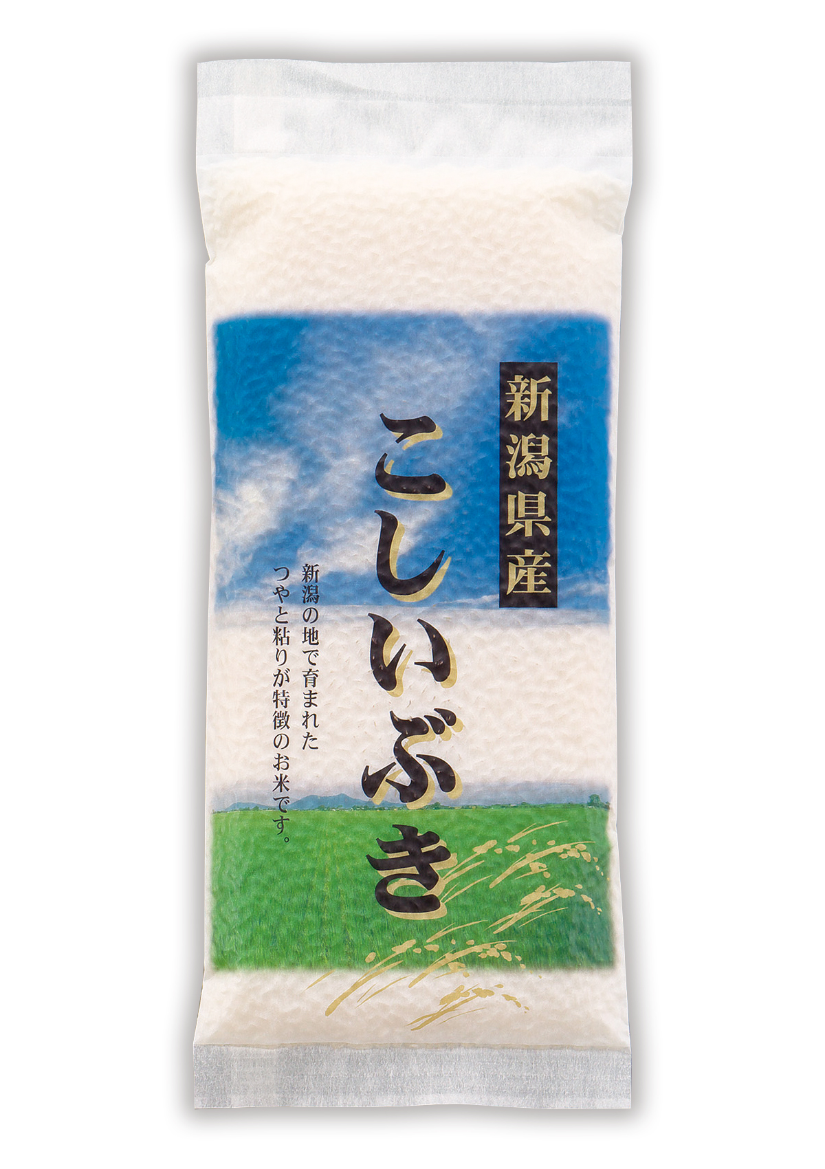 新潟産 こしいぶき 大空