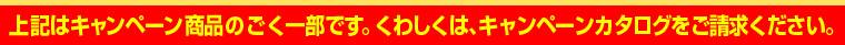 上記はキャンペーンカタログをご請求ください。